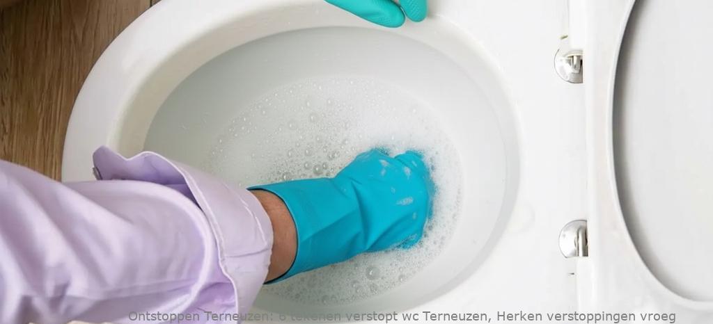 6 tekenen verstopt wc Terneuzen, Herken verstoppingen vroeg